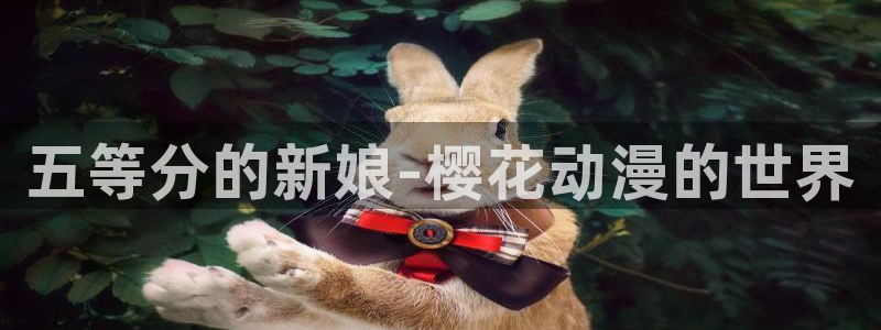 omofun.on：五等分的新娘-樱花动漫的世界