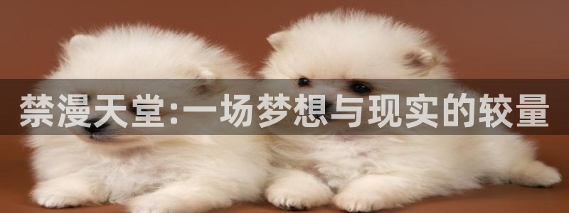 omofun动漫软件下载免费版：禁漫天堂:一场梦想与现实的较量