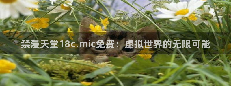 omofun正版官网下载：禁漫天堂18c.mic免费：虚拟世界的无限可能