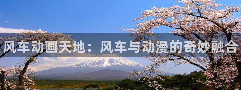 禁漫天堂入口下载：风车动画天地：风车与动漫的奇妙融合
