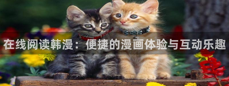 禁漫天堂正版入口：在线阅读韩漫：便捷的漫画体验与互动乐趣