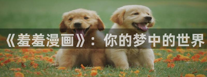 omofun动漫官方版下载：《羞羞漫画》：你的梦中的世界