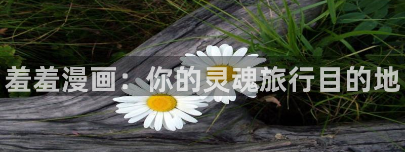 omofun下载最新：羞羞漫画：你的灵魂旅行目的地