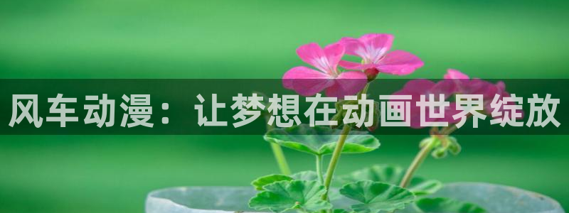 omofun正版下载安卓：风车动漫：让梦想在动画世界绽放