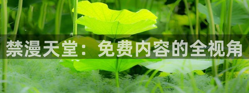 omofun官方版入口：禁漫天堂：免费内容的全视角