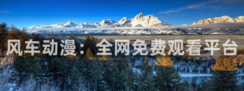 omofun链接：风车动漫：全网免费观看平台