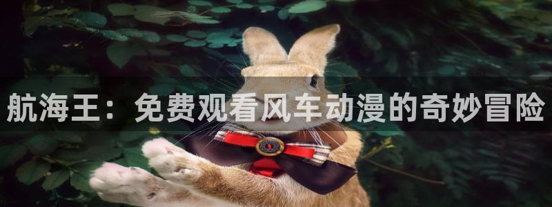 omofun无广告版下载：航海王：免费观看风车动漫的奇妙冒险