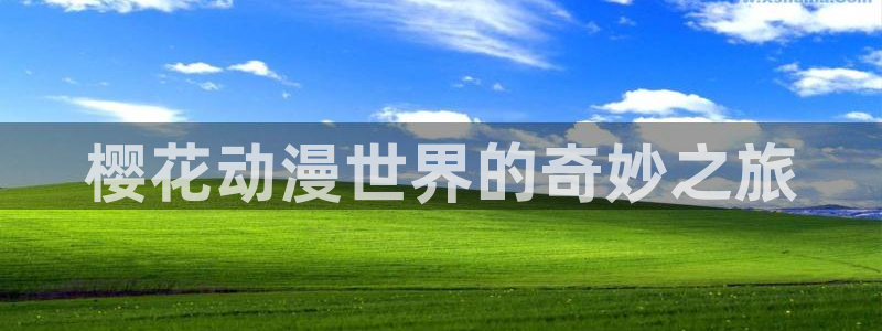 omofun轻量版：樱花动漫世界的奇妙之旅