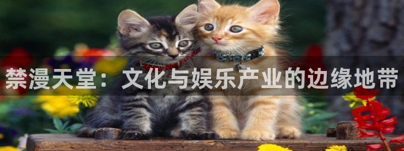 omofun正版app下载：禁漫天堂：文化与娱乐产业的边缘地带