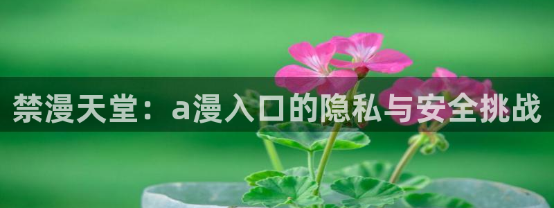 omofun动漫网站：禁漫天堂：a漫入口的隐私与安全挑战