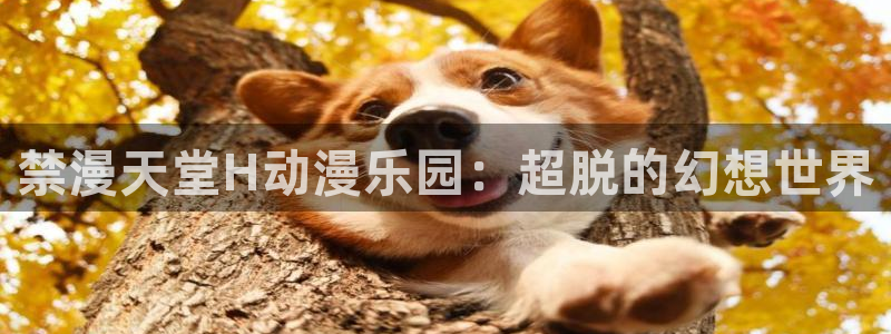 omofun 比较好用：禁漫天堂H动漫乐园：超脱的幻想世界