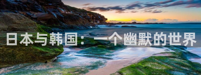 omofun是正经软件吗：日本与韩国：一个幽默的世界
