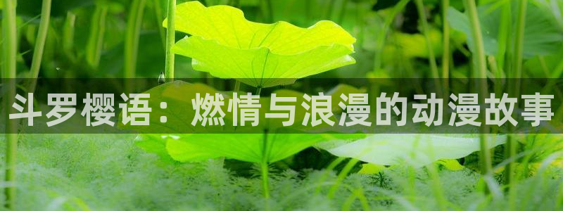 1 omofun：斗罗樱语：燃情与浪漫的动漫故事