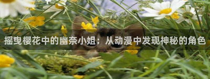 omofun漫画官网入口：摇曳樱花中的幽奈小姐：从动漫中发现神秘的角色